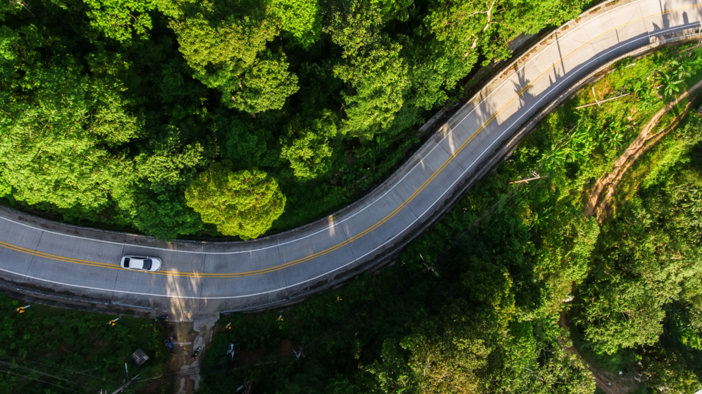 Kronkelende weg door groen bos, symbool voor groei, richting en verbinding in de employee journey en HR-strategie